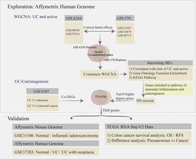 Analysis of Genes Involved in Ulcerative Colitis Activity and Tumorigenesis Through Systematic Mining of Gene Co-expression Networks